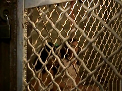 お尻, 緊縛, 美人, フェティッシュ, ハードコア, Hd, オッパイの, おもちゃ