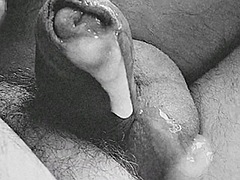 ゲイ
