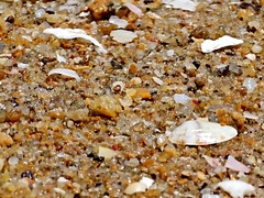 Strand, Füsse, Frau, Behaart, Milf, Höschen, Rock, Unter dem rock