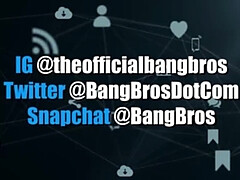 Sucer une bite, Brunette brune, Bus, Seins naturels, Public