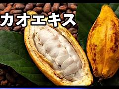 Enthousiasteling, Aziatisch, Mooi, Grote lul, Grote mammen, Pijpbeurt, Japaans, Gezichtspunt