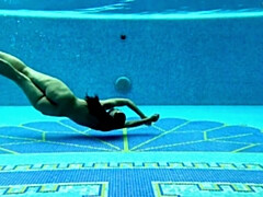 Lieveling, Grote kont, Bruinharig, Tsjechisch, Vrouw, Hd, Hongaars, Biljart