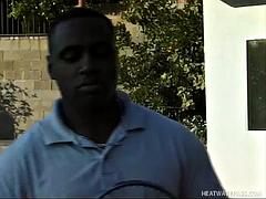 In den arsch, Tussi, Schwarz, Blasen, Spermaladung, Schwarz, Hardcore, Titten