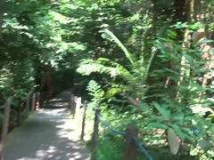 Amateur, Anal, Petite amie, Lunettes, Fille latino, Masturbation, Chatte, Fumer