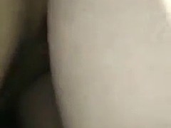 Amateur, Alemán, Suizo