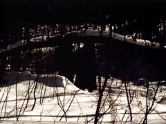 Arsch, Grosser arsch, Braunhaarige, Schwanz, Hd, Muschi, Titten, Vintage