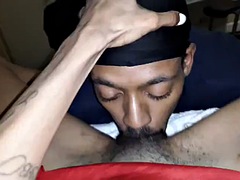 Negro, Ébano, Peludo