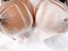 Gros seins, Brunette brune, Plantureuse, Noir ébène, Solo