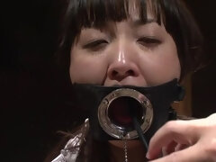 緊縛, カップル, 日本人, パンティ