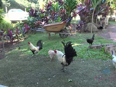 Amateur, Blonde, Doigter, Orgasme, Petite femme, Pov, Public, Gicler