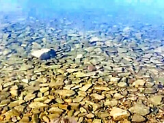 Любители, Пляж, Блондинки, Минет, Домашнее видео, На природе, От первого лица, На публике