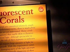 Grosser schwanz, Blondine, Hd, Im freien