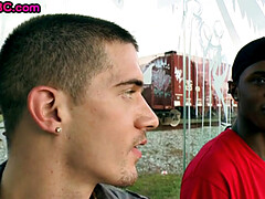 Amateur, Anal, Noire, Sucer une bite, Noir ébène, Homosexuelle, Actrice du porno, Public