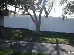 Verga grande, Mamada, Semen en la boca, Estilo perrito, Hd, Monstruo, Montar