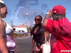 Kont, Mooie dikke vrouwen, Grote mammen, Pijpbeurt, Lul, Hondjeshouding, Dik, Reusachtig