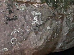 Belleza, Gay, Sexo duro, Latina, Masturbación, Al aire libre