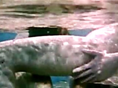 Hard, Orgie, Rétro ancien