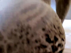 Amateur, Anal, Grosse bite, Brunette brune, Lesbienne, Mère que j'aimerais baiser, Petite femme, Gicler