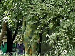 女, 露出狂, 自然山雀, 小柄, 公共, オマンコ, いじめ, オッパイの