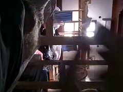 露出狂