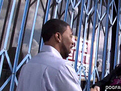 big-chested cougar Eva Karera