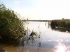 Amateur, Culo, Rubia, Estilo perrito, Al aire libre, Pov, Realidad, Adolescente