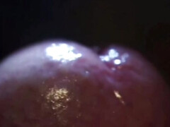 Grote lul, Harig, Masturbatie, Penis