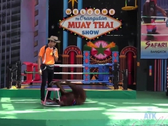 Enthousiasteling, Zwart, Pijpbeurt, Zwart, Sperma in gezicht, Hardcore, Hd, Gezichtspunt