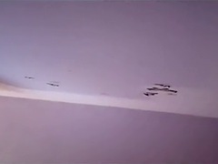 Любители, Анальный секс, Голландки, Секс без цензуры