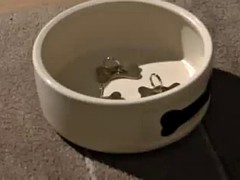 Садо мазо, Блондинки, Бондаж, Соло