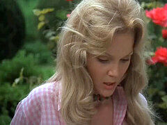 Schlumpfs Klassiker 11