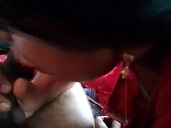 Sucer une bite, Queue, Branlette thaïlandaise, Hd, Fait maison, Femme au foyer, Indienne, Suçant