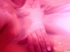 Cul, Salle de bains, Chambre à dormir, Brunette brune, Fille latino, Huilée, Chatte, Mouillée