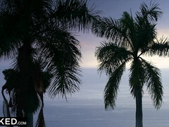Anaal, Kont naar mond, Bruinharig, Lul, Frans, Interraciaal, Klein, Tieten likken