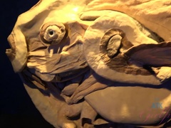 素人, 浴室, 茶髪の, 汚れた　, ドレス, 目瞪口呆, オナニー, パンティ