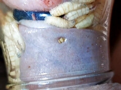 Amateur, Bondage domination sadisme masochisme, Fétiche, Mamie, Mature, Mère que j'aimerais baiser, Public, Tabou