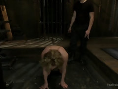 Anal, Bondage domination sadisme masochisme, Bondage, Femelle, Humiliation, Punition, Esclave