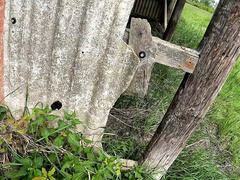 デカパイ, 服従, 露出狂, ドイツ人, 陵辱, アウトドア, 公共, スラップ