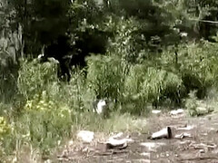 Жопа, Пухленькие, Сумасшедшие, Женщины, Обнаженные, Крошечные, Киски, Винтаж