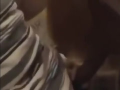 Amateur, Asiático, Mamada, Penetracion con dedos, Japonés