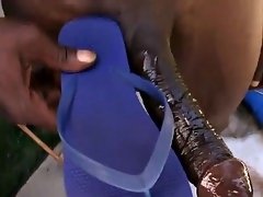 Cheerleaders big rod jizz