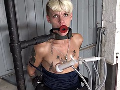 Amateur, Bondage domination sadisme masochisme, Bondage, Mamelons, Collant, Suçant, Nénés