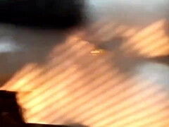 Enthousiasteling, Grote mammen, Lul, Omie, Masturbatie, Openbaar, Kut duiken, Speelgoed