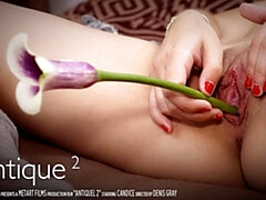 ブロンド, クリトリス, 指いじり, オナニー, オマンコ, ティーン, オッパイの, 濡れ