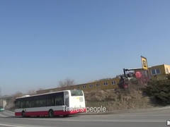 公共