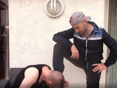 Homo