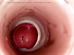 Enthousiasteling, Grote lul, Sperma shot, Handbeurt, Huisgemaakt, Reusachtig, Naakt, Kut duiken