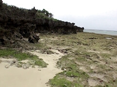 Sucer une bite, Plantureuse, Tir de sperme, Mignonne, Gorge profonde, Hd, Naturelle, De plein air