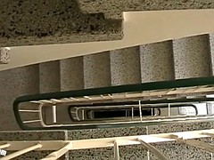 Cornudo, Grupo, Alemán, Interracial