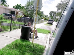 Enthousiasteling, Bruinharig, Softcore pornografie